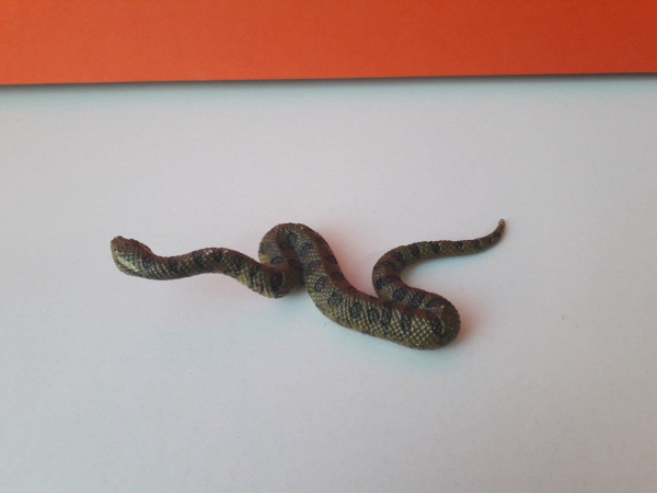 Eredeti Schleich zöld anakonda kígyó állatfigura! 13x3cm ! 2016-os kiadás! Schleich 14778