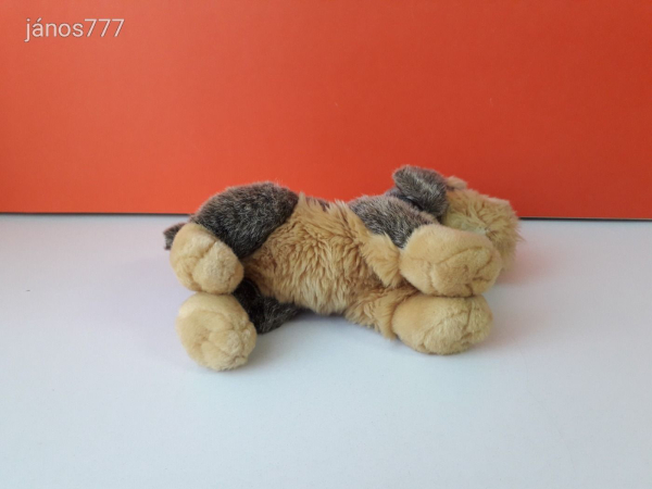 Szálkás szőrű TACSI Kutya DRÓTSZŐRŰ TACSKÓ plüss kutyus kabala figura 27 cm EXTRA ! ÉLETHŰ !!