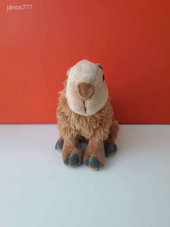 Eredeti Wild Republic KAPIBARA plüss kabala figura 26 cm-es Vízidisznó plüssfigura EXTRA ! ÉLETHŰ